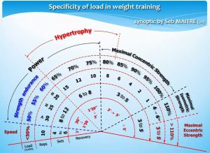 force-hypertrophie-répétitions-charge-maximale-