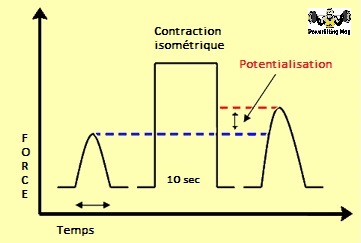 potentialisation-post-activation-powerliftingmag