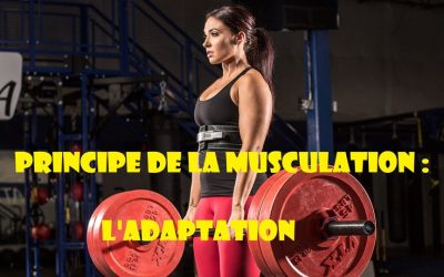Principes de musculation : Le principe d’adaptation (I)