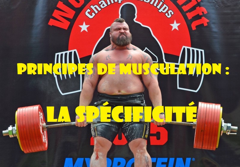 Principes de musculation : Le principe de spécificité (III)