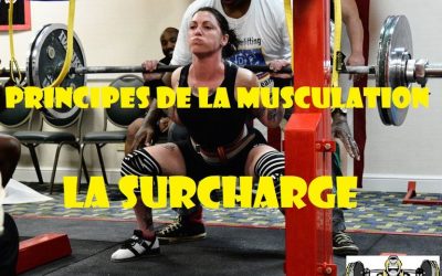 Principes de musculation : le principe de surcharge (II)