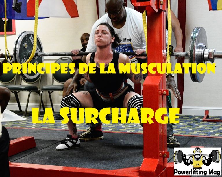 Principes de musculation : le principe de surcharge (II)