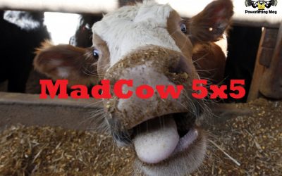 Le programme de force et de volume : 5×5 MadCow