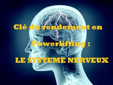 La clé du rendement en force athlétique et musculation : le système nerveux